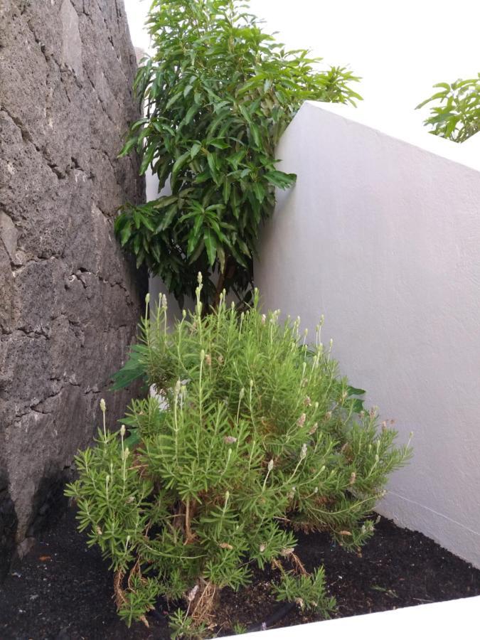 Villa Lanzarote Puerto Calero Bagian luar foto